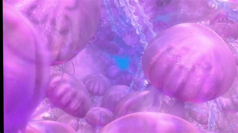 P. Sherman, Wallaby Way, Sydney. - Finding Nemo | Clip.Cafe