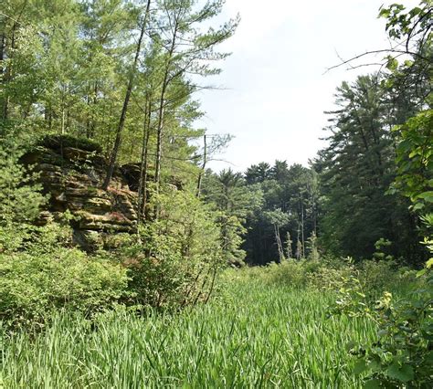 Rocky Arbor State Park (Wisconsin Dells) - Lo que se debe saber antes ...
