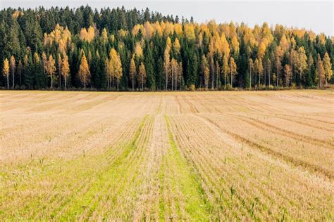 Muita ajankohtaisia asioita