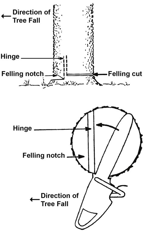 Image result for Chainsaw Tree Fall