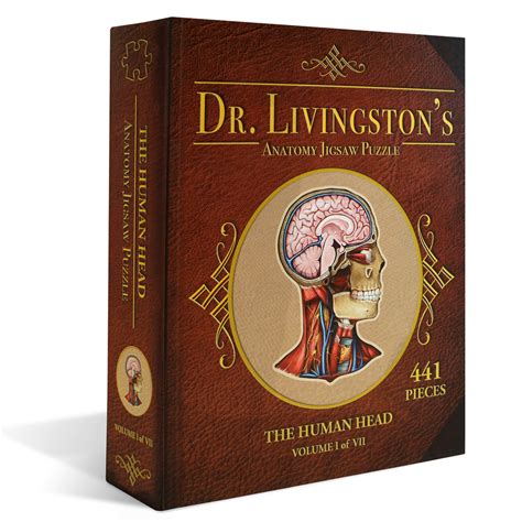 Dr. Livingston's Anatomy Jigsaw Puzzle: The Human Thorax | 411 Piece ...