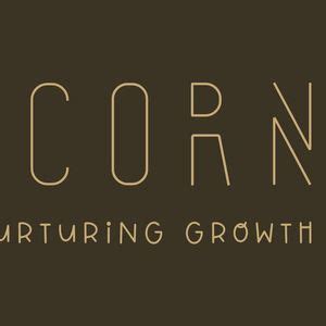 6 Week Forest School Program - Befriending the Winter Woods, 313 ...