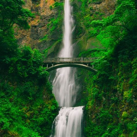 Image result for Goa Fusion