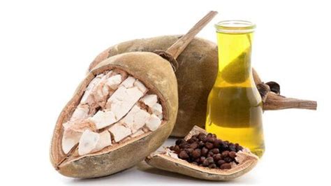 5 uses of baobab oil