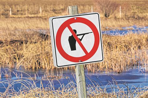 No-Trade No Killing 的图像结果