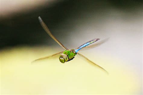 Image result for Camera Tutorial