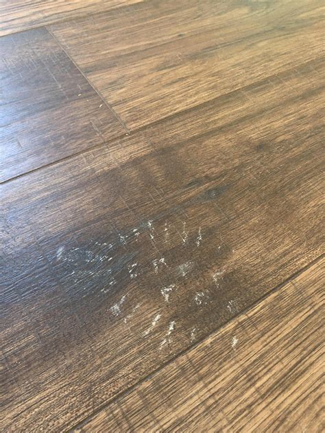 How To Remove Paint From Laminate Hardwood Floors | Floor Roma