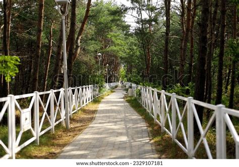 Image result for Cobblestone Path