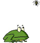 Image result for Frog Math