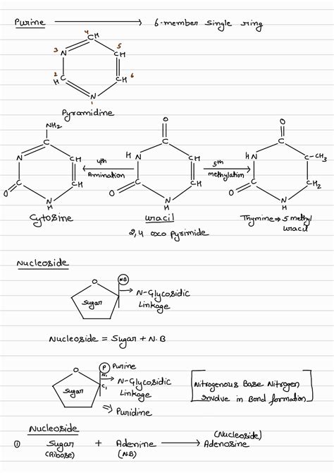 Image result for Biomolecules Class 12th