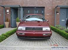 golf 4 cabrio spiegel golf 4 cabrio spiegel am golf 3 www golf3cabrio de golf 4 cabrio spiegel golf 4 cabrio spiegel am golf 3 www golf3cabrio de