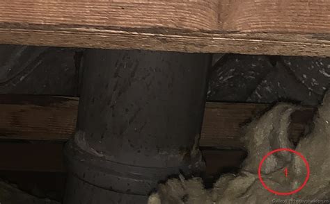 Drei Kamine mit sechs Be- und Entlüftungsrohren für Abwasser und ...