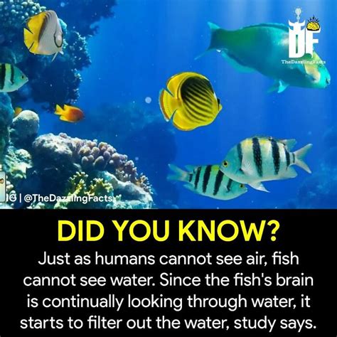 Image result for Random Facts to Know