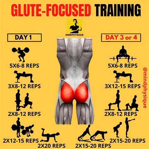 MindPhysique l Tony Liang on Instagram: “Glute Focused Training by @mindphysique 📍SHARE-FOLLOW ...