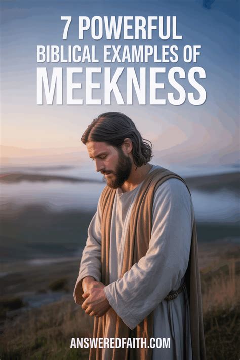 Image result for Meekness Examples