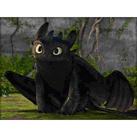 Image result for Toothless Dragon Clips