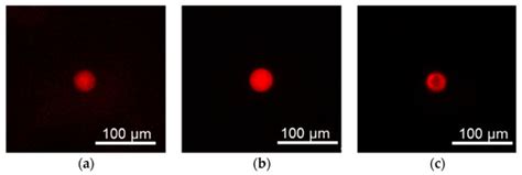 Hydrogel Fluorescence Microsensor with Fluorescence Recovery for ...