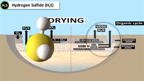 Image result for H2S O2