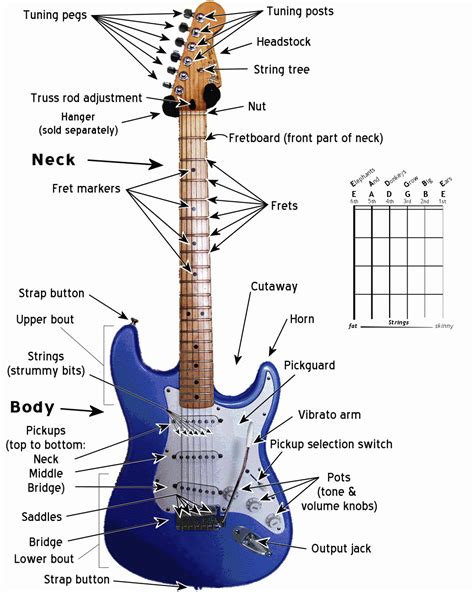 Stratocaster Guitar Parts Names