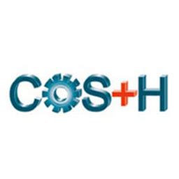 COS+H 2020