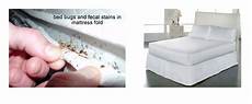 pulci materasso cimici letto bioallergen pulci materasso cimici letto bioallergen