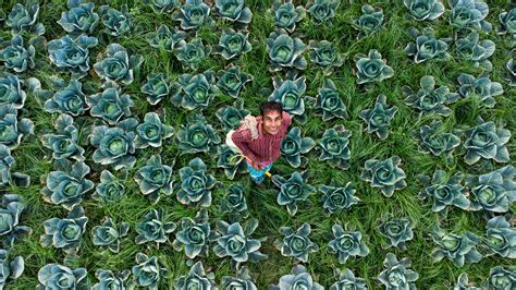 Big+Butt+Asian Photos, Download The BEST Free Big+Butt+Asian Stock ...