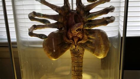 Image result for Alien Facehugger Types