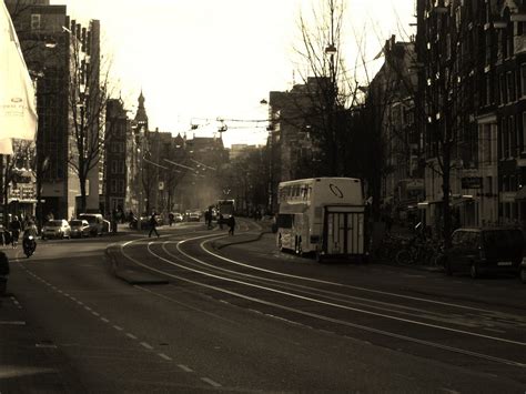 Abroad 的图像结果