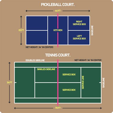 Pickleball Court Dimensions: Official Size, Layout & Pro Tips (2026 ...