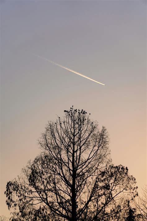 Image result for Tree Gradient Boosing Image