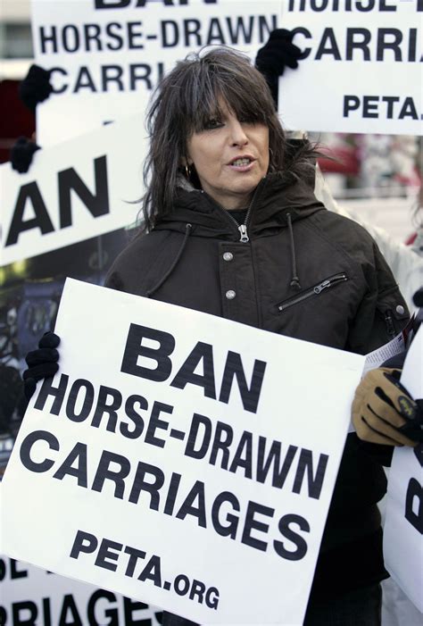 The Pretenders | Members, Songs, & Facts | Britannica