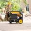 FIRMAN Power Equipment H03651 4550W Peak/3650W Rated Dual Fuel ...