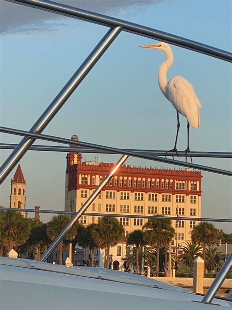 tides St Augustine | Jacqui Thurlow-Lippisch