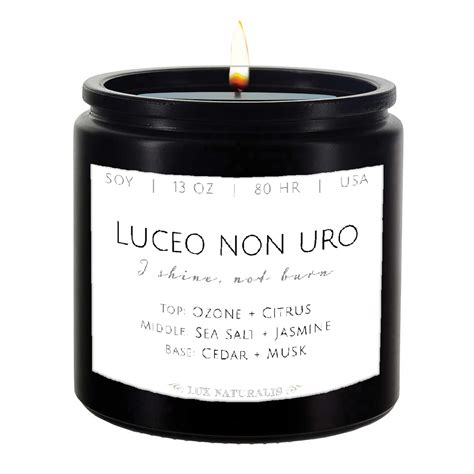 Luceo non uro 13-Ounce Scented Soy Candle – CandidCandle.com