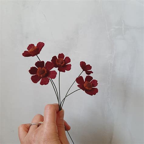 Chocolate Cosmos Flower Bouquet
