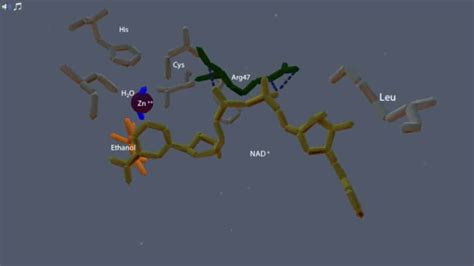 Image result for Enzyme Kinetics Lab