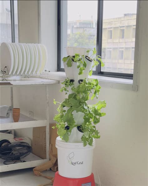 LeafGrid - Vertical Hydroponic Towers for Fresh Greens at Home