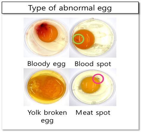 Non-Destructive Detection of Abnormal Chicken Eggs by Using an ...