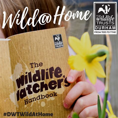 Durham Wildlife Trust's new initiative during the restrictions of the ...