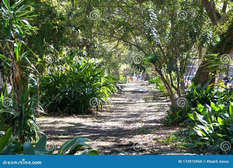 New Orleans, Louisiana, U.S Editorial Image - Image of february, blue ...