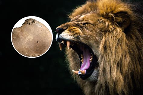 InfraWei's Highlights on 'A Smart Bear » Quarterly strategic planning ...