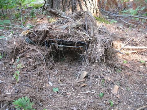 Compass Trapping Set 的图像结果