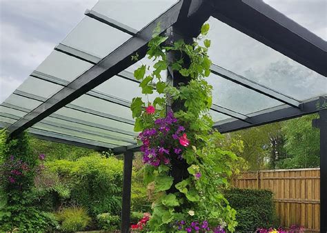 Clear Pergola Roofing | The Benefits of PC Pergola Roof Panels
