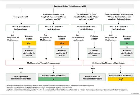 Ablation bei lange persistierendem VHF - Kardiologie & Gefäßmedizin ...