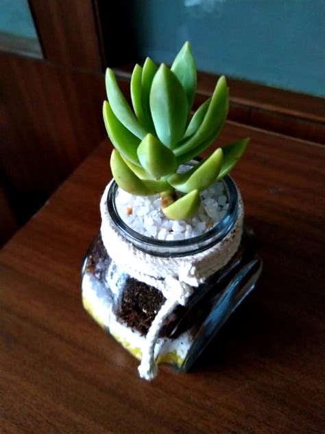 Succulent Ink Pot — Mudfingers
