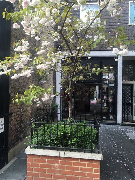 ELSPETH GIBSON (2026) All You Need to Know BEFORE You Go (with Reviews ...