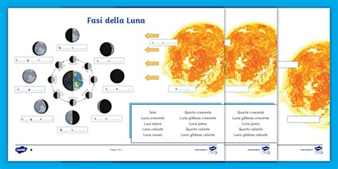 Attività per livelli: Etichetta le fasi della Luna