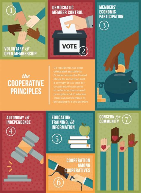 Co-operative Principles 的图像结果