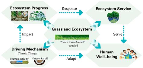 What Is Recycled In An Ecosystem at Carolyn Huddleston blog