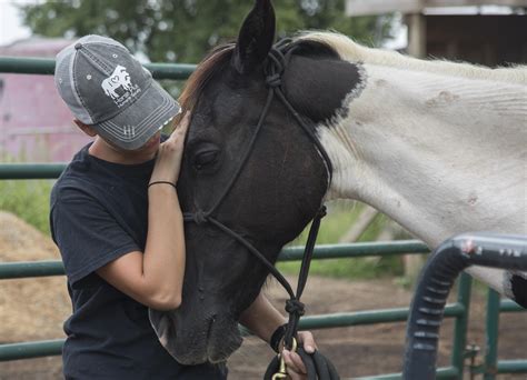 Standing Ovation by Ovation Riding: Horse Plus Humane Society | HORSE ...